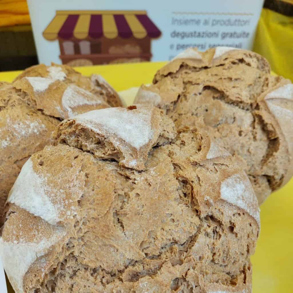 Pane grosso di Tortona - San Pastore - grani antichi
